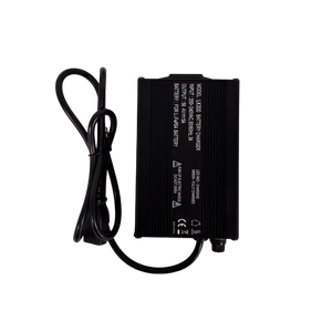 300W Lithium Battery Charger