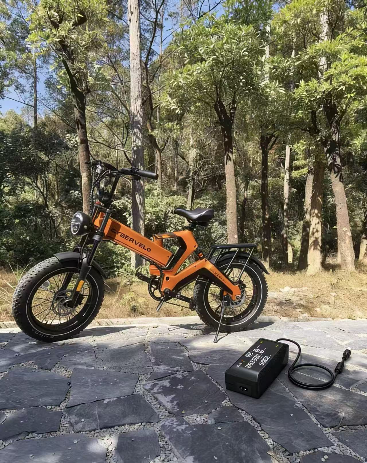 Ebike06.jpg