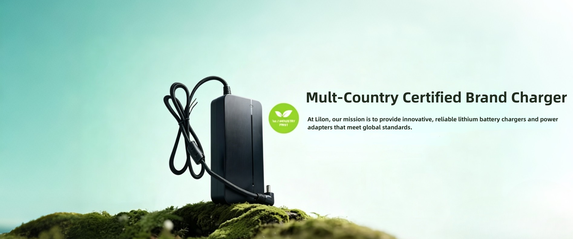 Leading Manufacturer of Lithium Battery Chargersand Power Adapters (1)